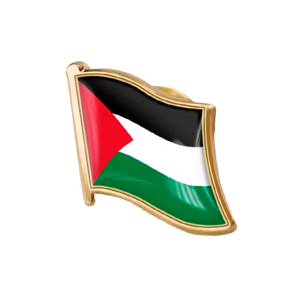 PIN Bandera Palestina