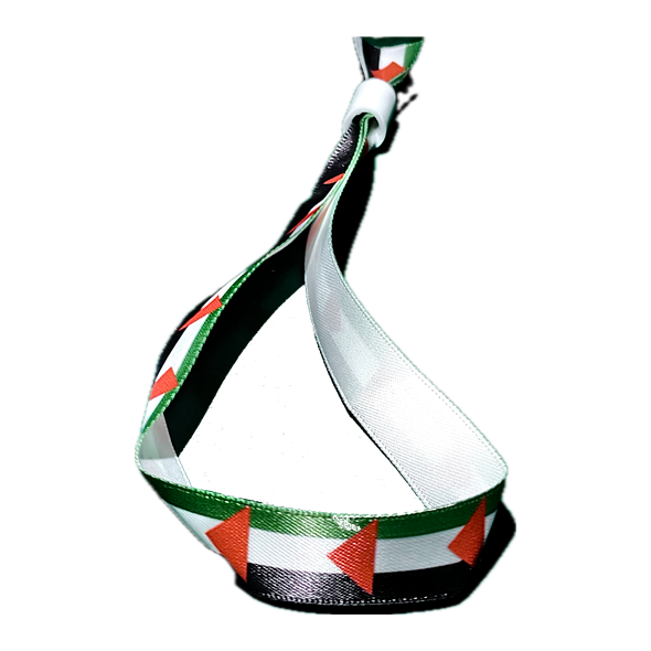 Pulsera Bandera Palestina