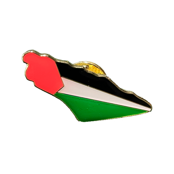 Pin Mapa y Bandera Palestina